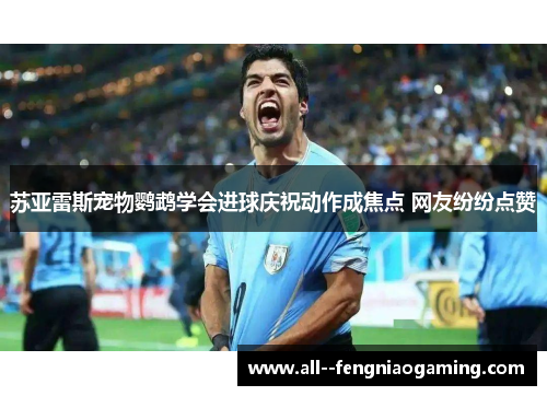 苏亚雷斯宠物鹦鹉学会进球庆祝动作成焦点 网友纷纷点赞