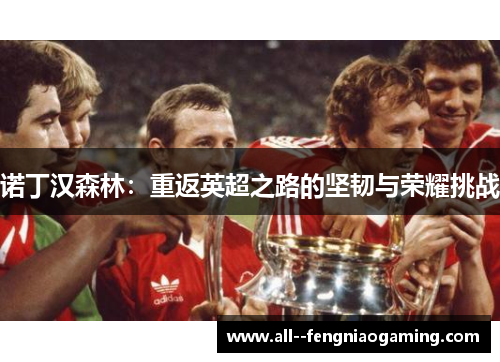 诺丁汉森林：重返英超之路的坚韧与荣耀挑战