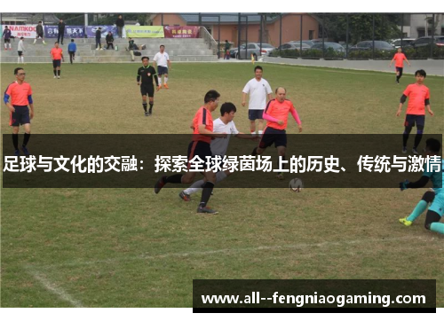 足球与文化的交融：探索全球绿茵场上的历史、传统与激情