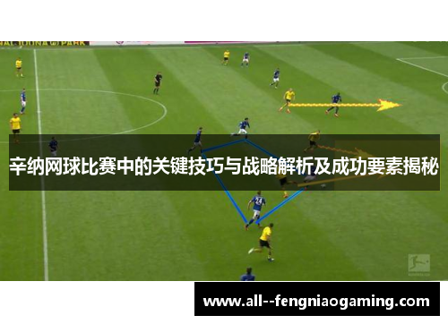 辛纳网球比赛中的关键技巧与战略解析及成功要素揭秘