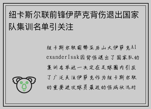 纽卡斯尔联前锋伊萨克背伤退出国家队集训名单引关注